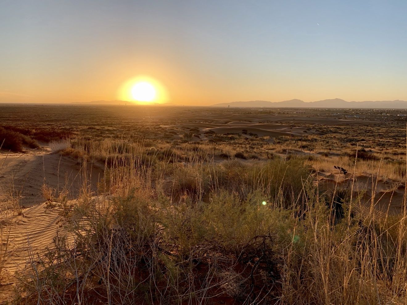 Rugged desert scrub landscape under a wide El Paso sky