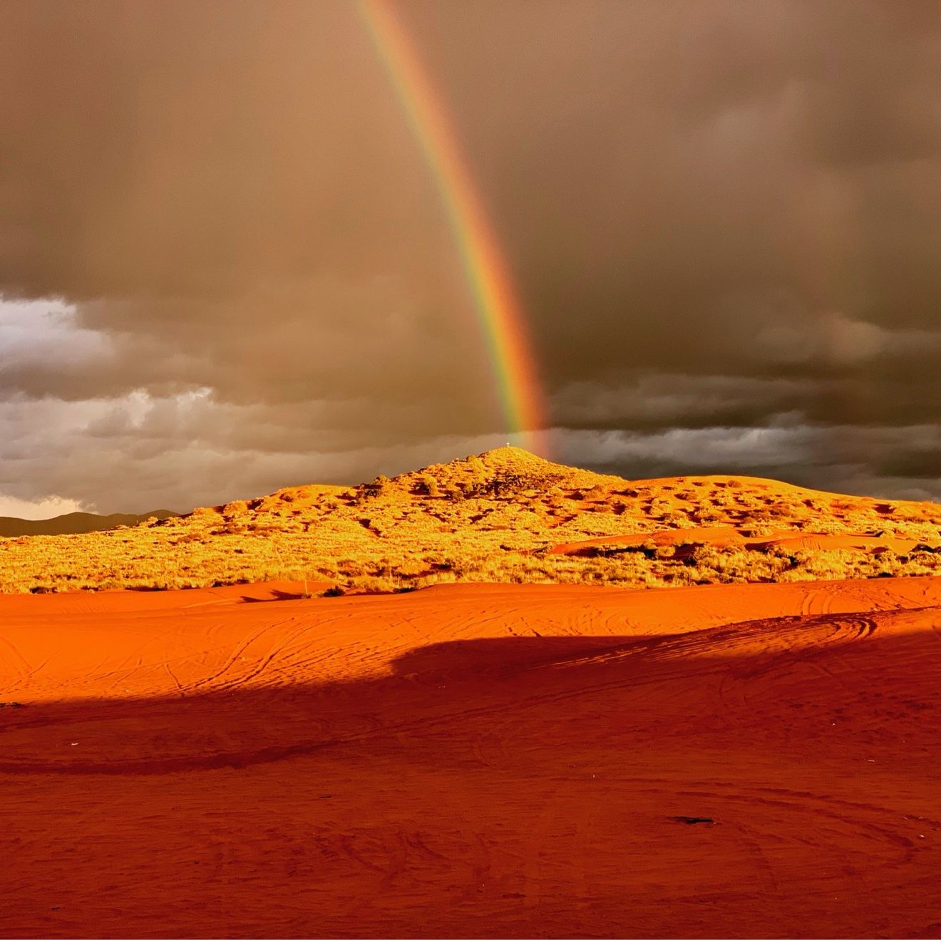 A rainbow arcing over the red dunes after desert rain